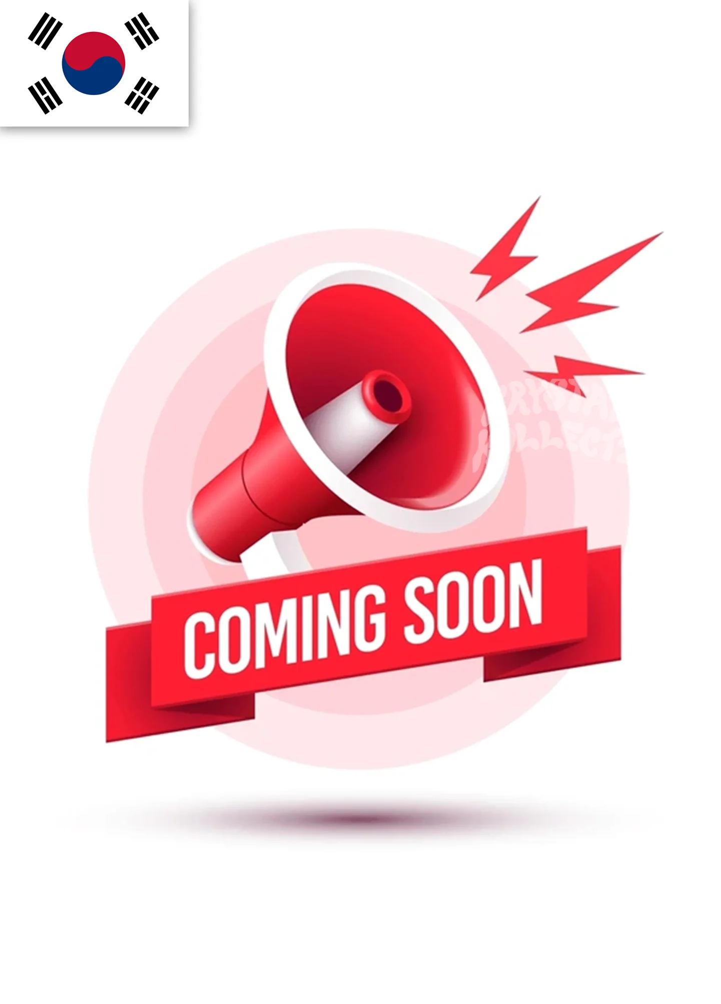 Korean Pokemon Products